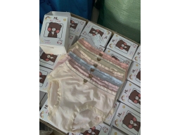 QUẦN HỘP GẤU DỆT 275 -  HỘP/ 6 CÁI